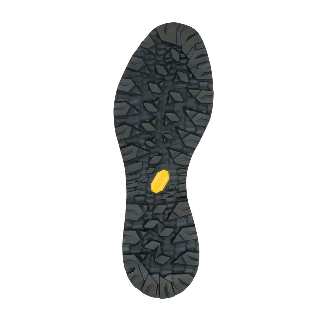 Alterra II GTX - Men's