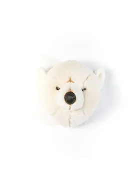 Basile the polar bear