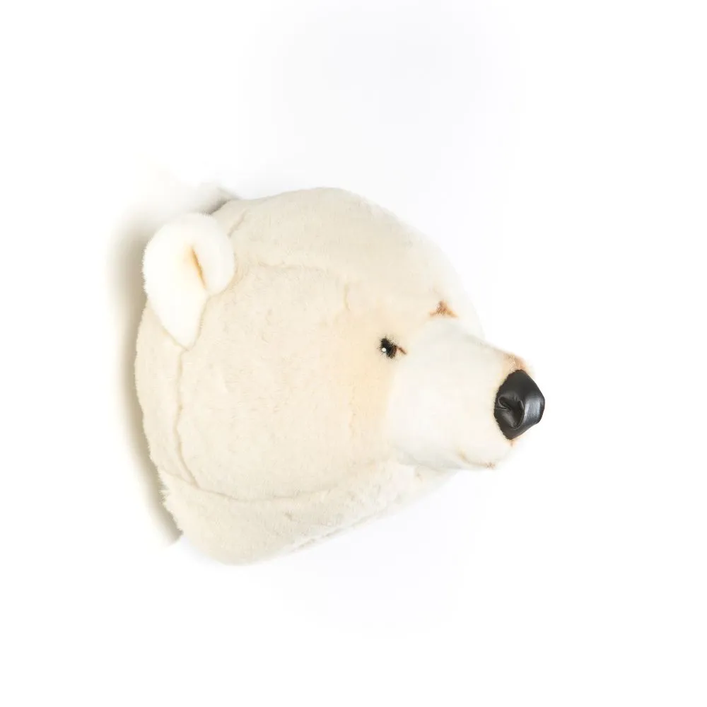 Basile the polar bear