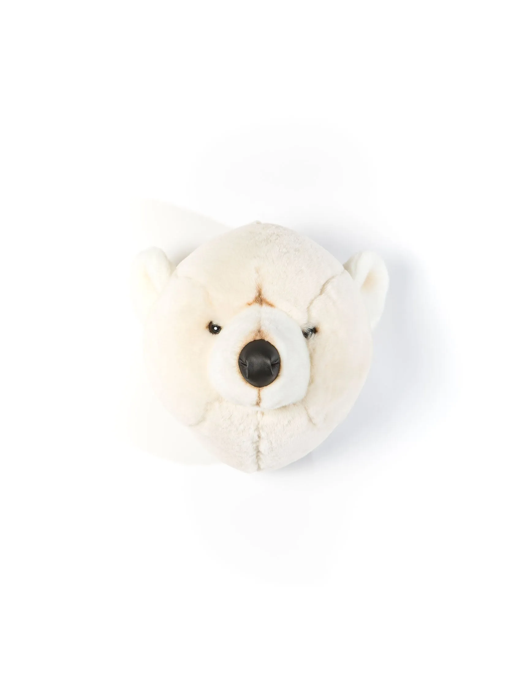 Basile the polar bear