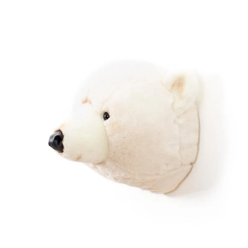 Basile the polar bear
