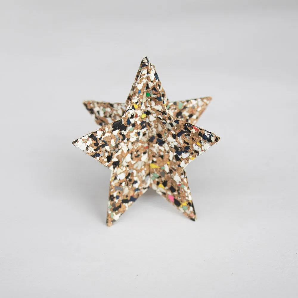 Beach Clean Pop A Cork Star