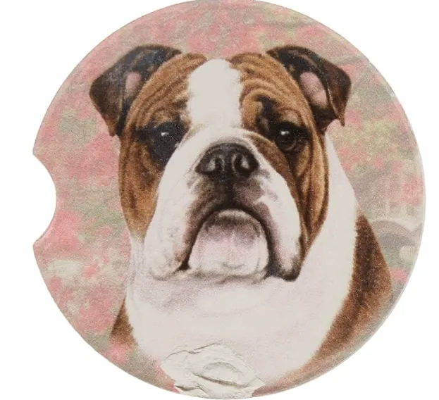 Car Coaster  Bulldog    231-8
