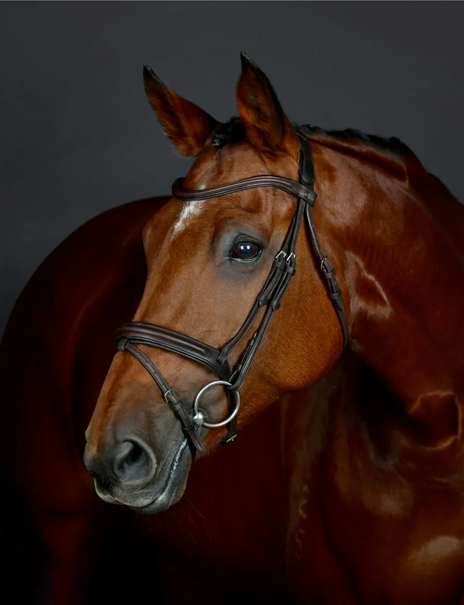 Collegiate Comfitec Opulux Fancy Stitched Padded Hanoverian Bridle