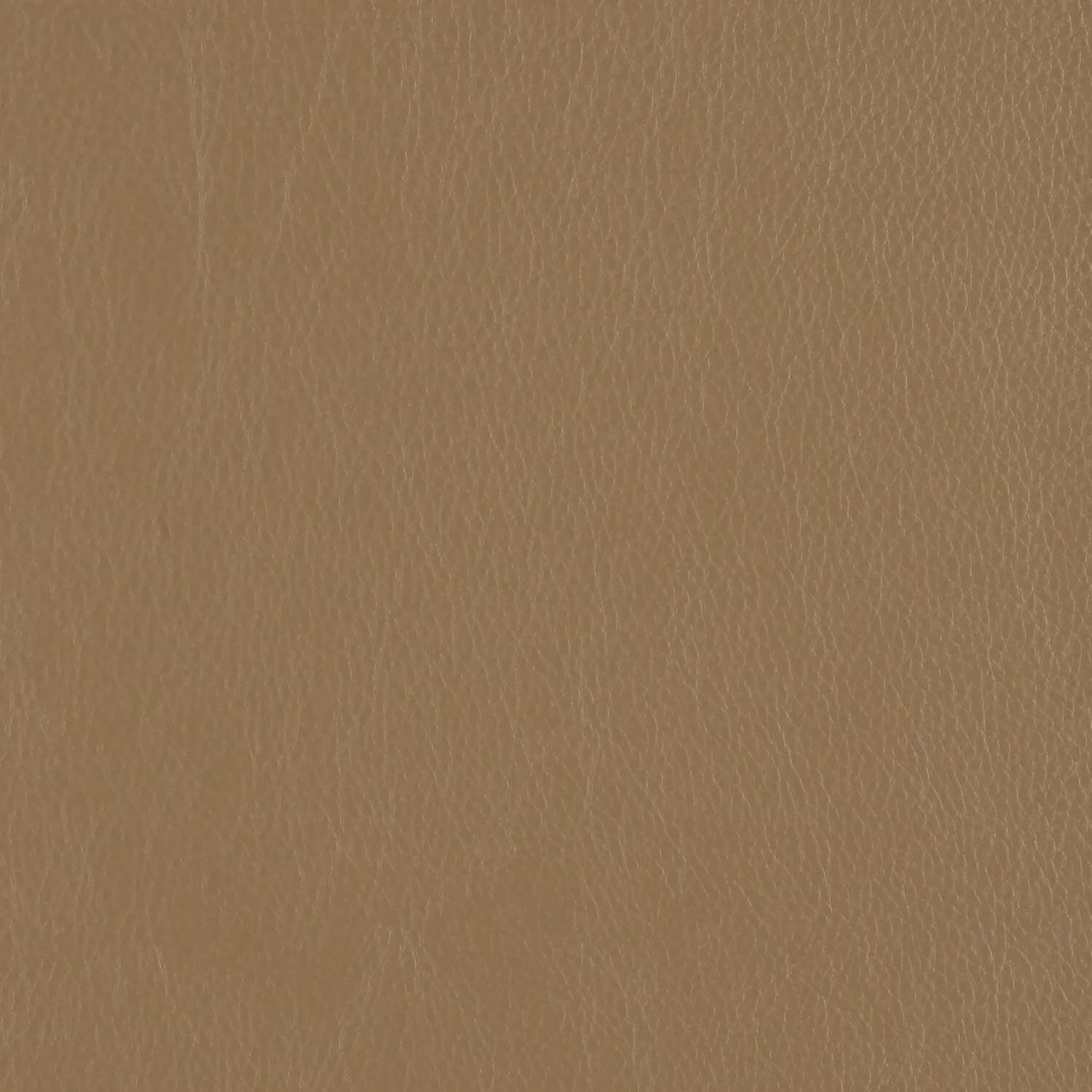 Decoy - Alias - 4087 - 37 - Half Yard