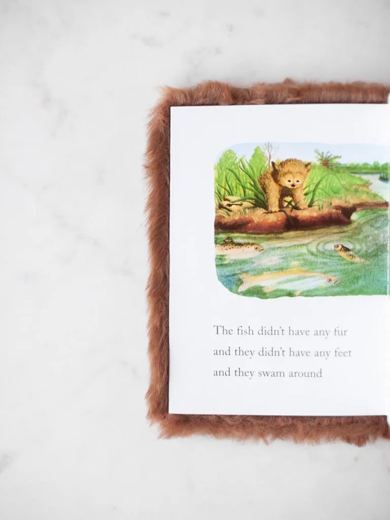 Little Fur Family Books