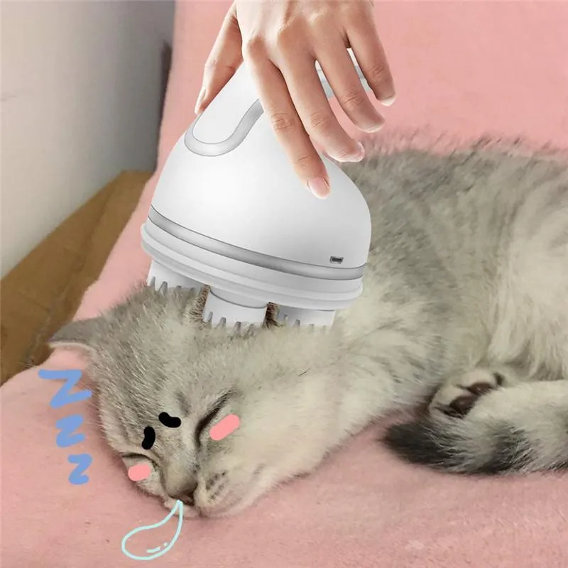 Purr-tastic Massager