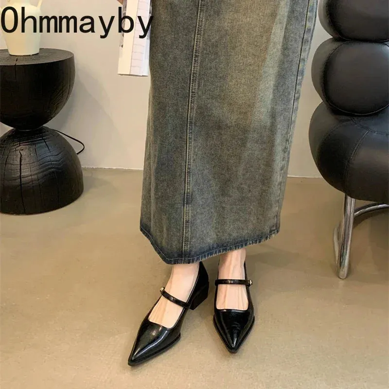 Retro Style Thick Heel Women Mary Jane Shoes Fashion Shallow Pointed Toe Ladies Comfort Office Pumps Footwear