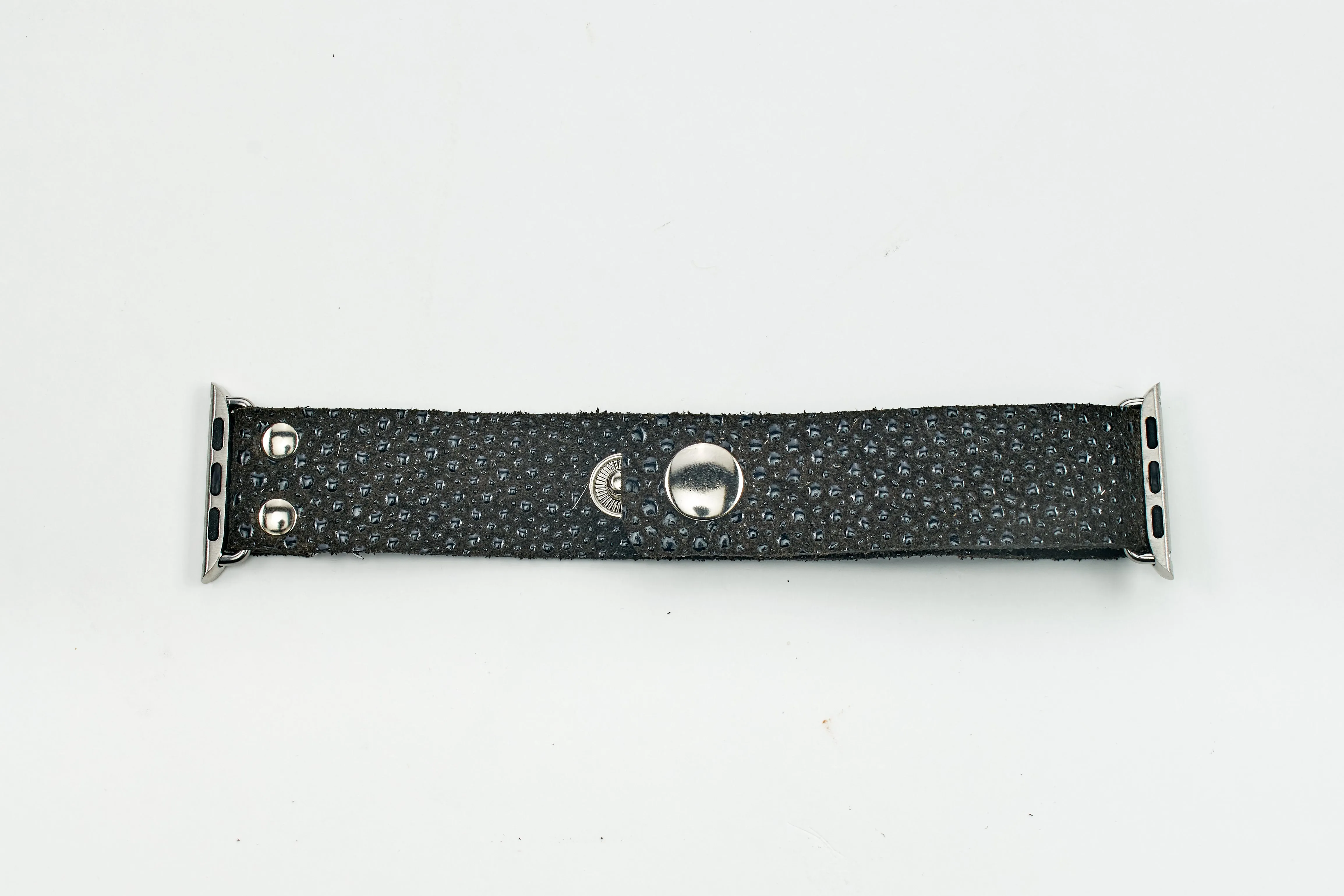 Rover Leather Apple Watchband