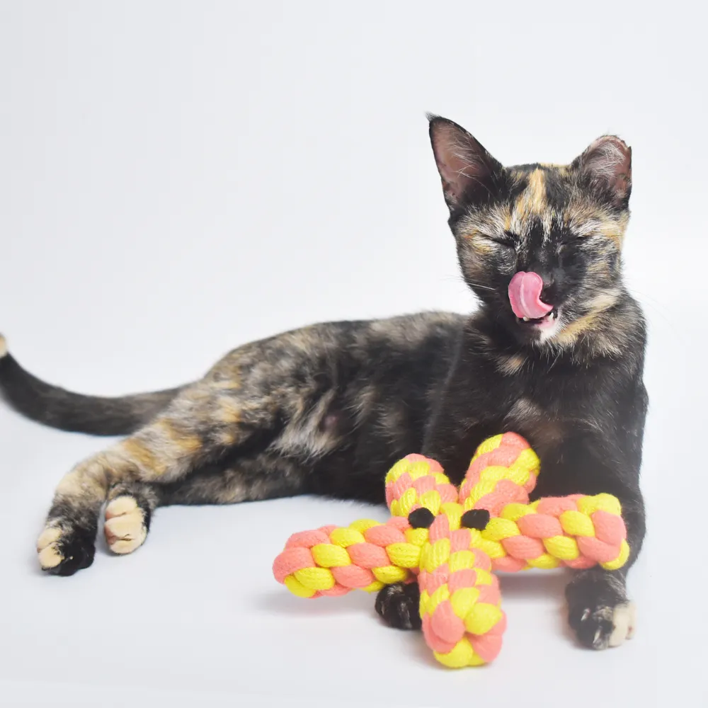 Starfish Rope Toy