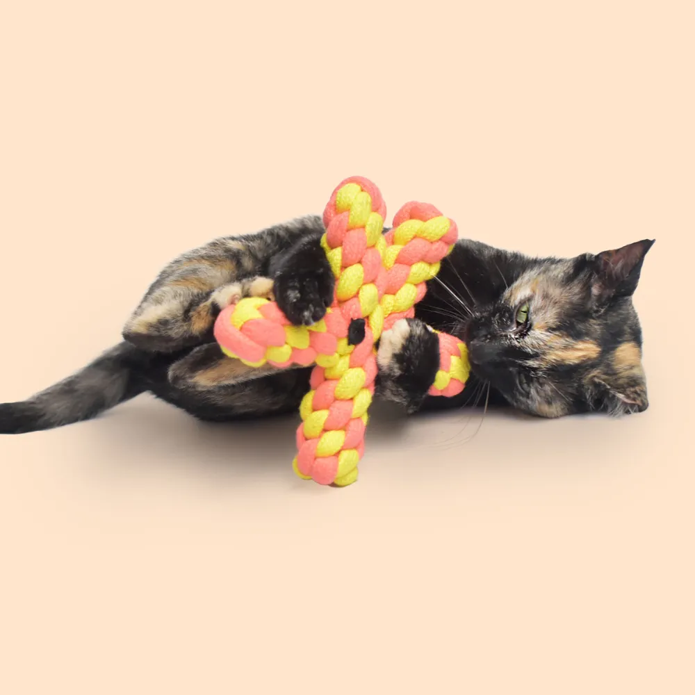 Starfish Rope Toy